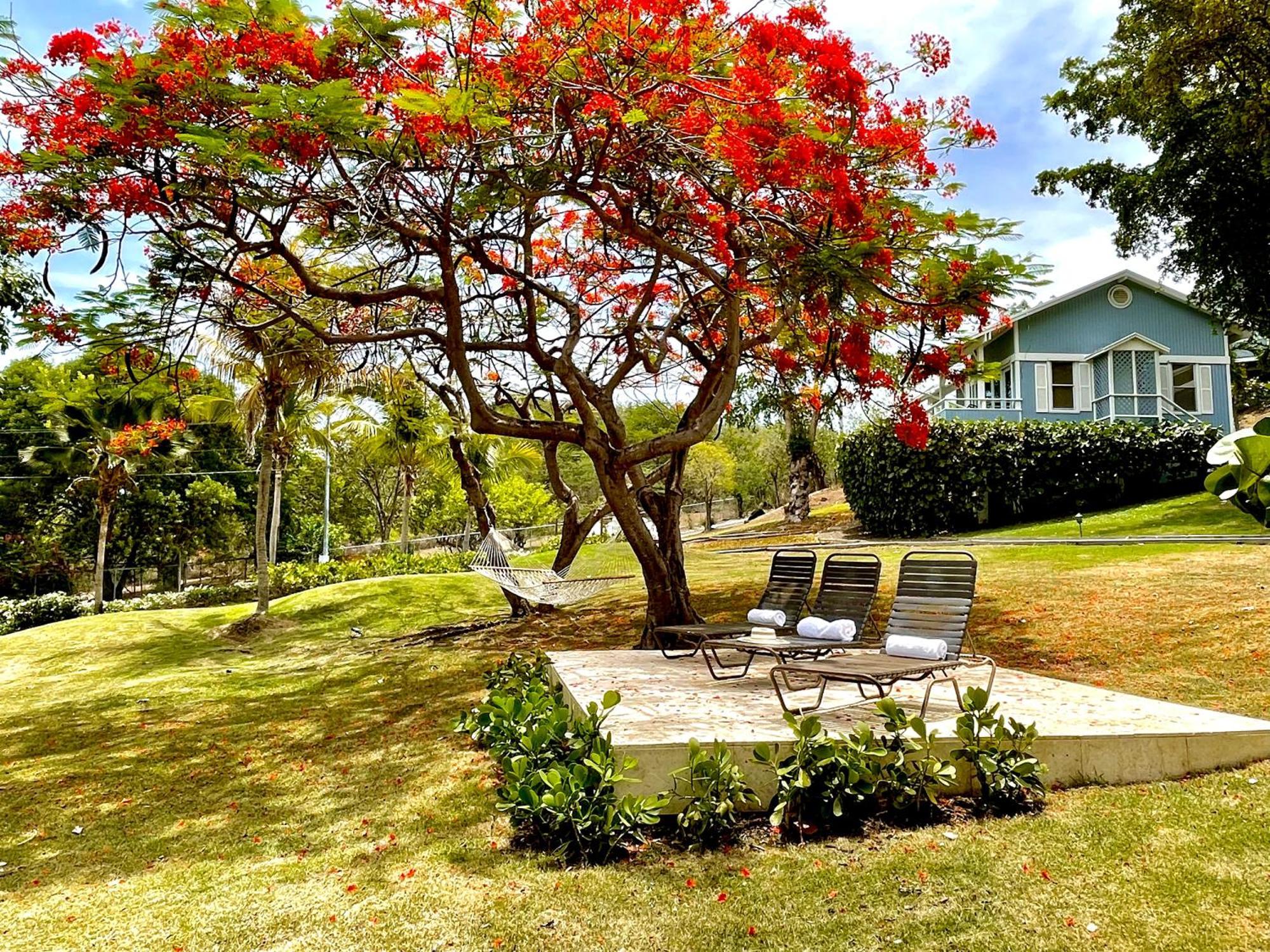 Club Seabourne Hotel Isla Culebra Bagian luar foto
